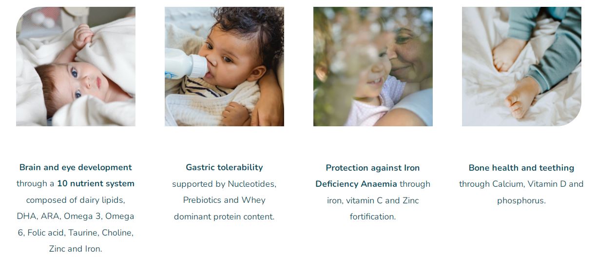 Vitalae presentation